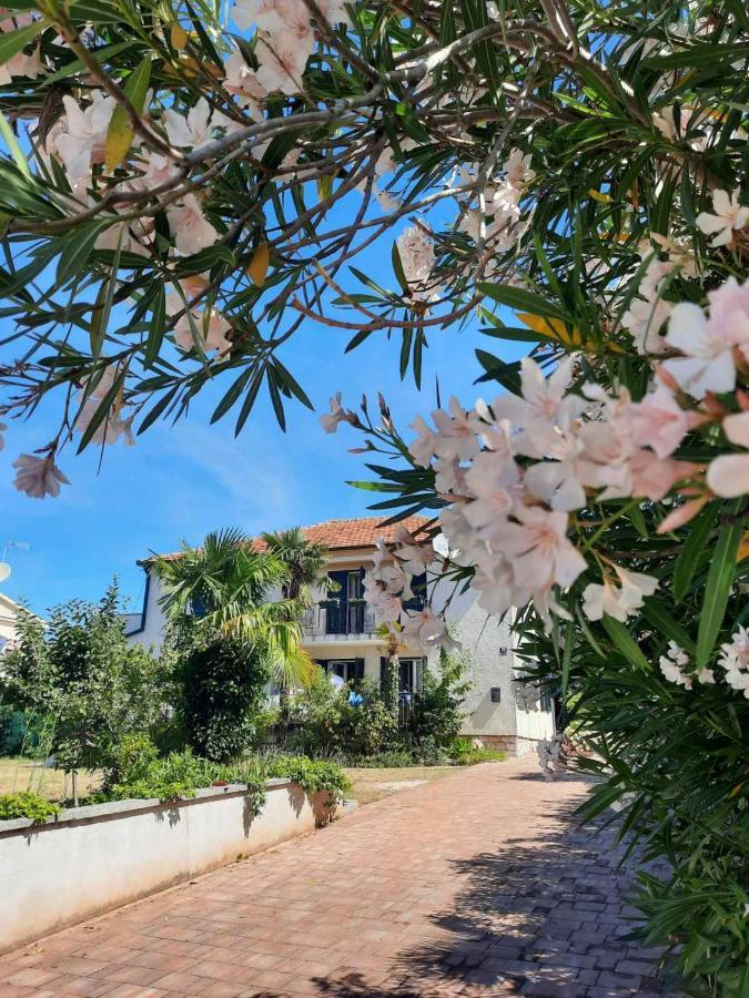 Apartments Palm House Rovinj Eksteriør billede